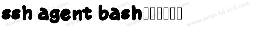 ssh agent bash字体转换